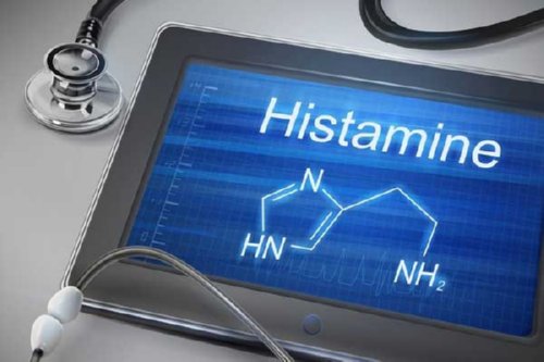 histamine-free-diet